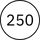 250