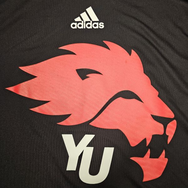 Decoration Method 4 Heat Transfer (Digital or Vinyl)